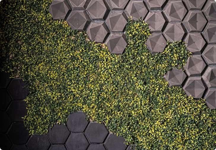 A Social Media Campaign For A Decorative Stone And Brick Manufacturer